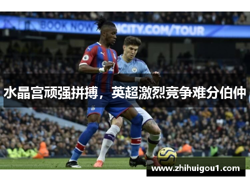 水晶宫顽强拼搏,英超激烈竞争难分伯仲 水晶宫顽强拼搏,英超激烈竞争难分伯仲