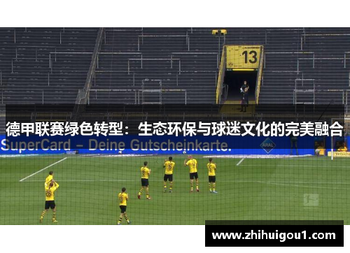 德甲联赛绿色转型:生态环保与球迷文化的完美融合 德甲联赛绿色转型:生态环保与球迷文化的完美融合